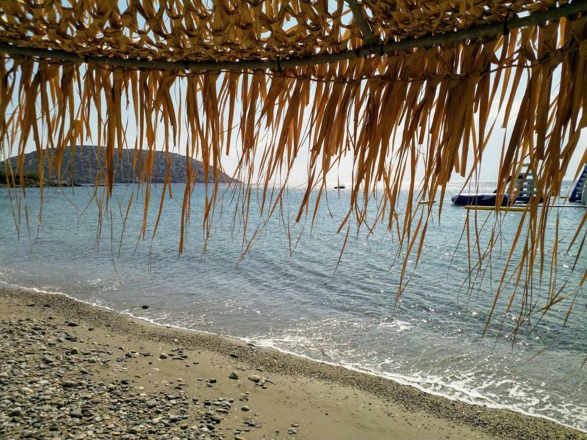 New Seafront Studio Guest House Anávyssos Eksteriør bilde